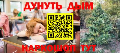 сатива Краснокаменск