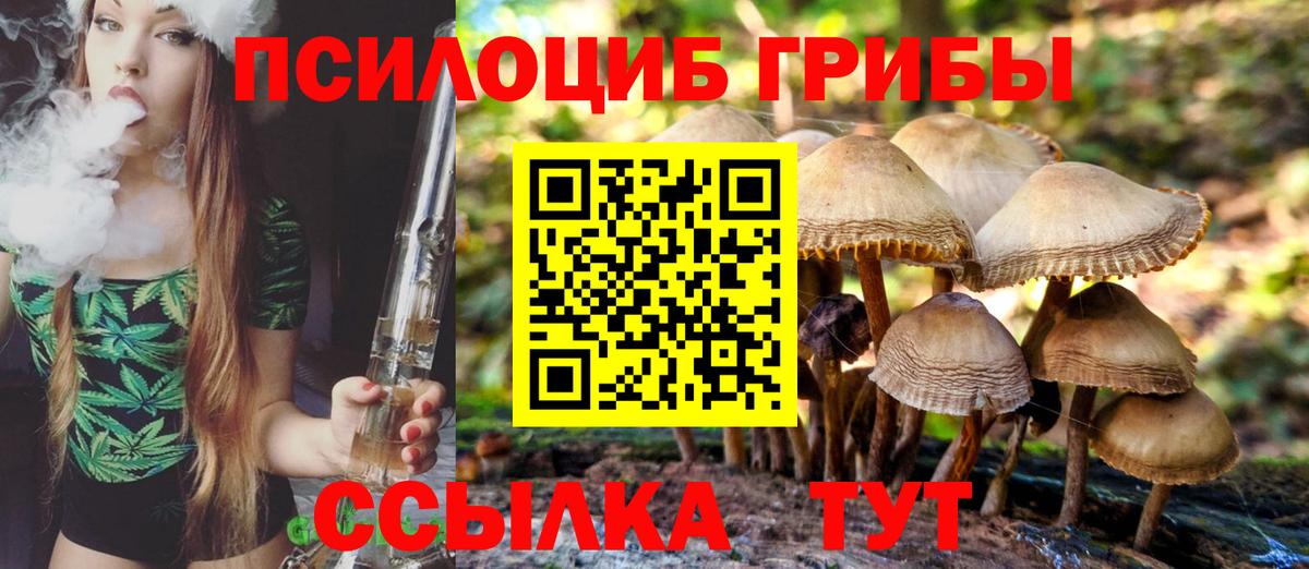 Кирово-Чепецк  Псилоцибиновые грибы мицелий  Вход с VPN 
