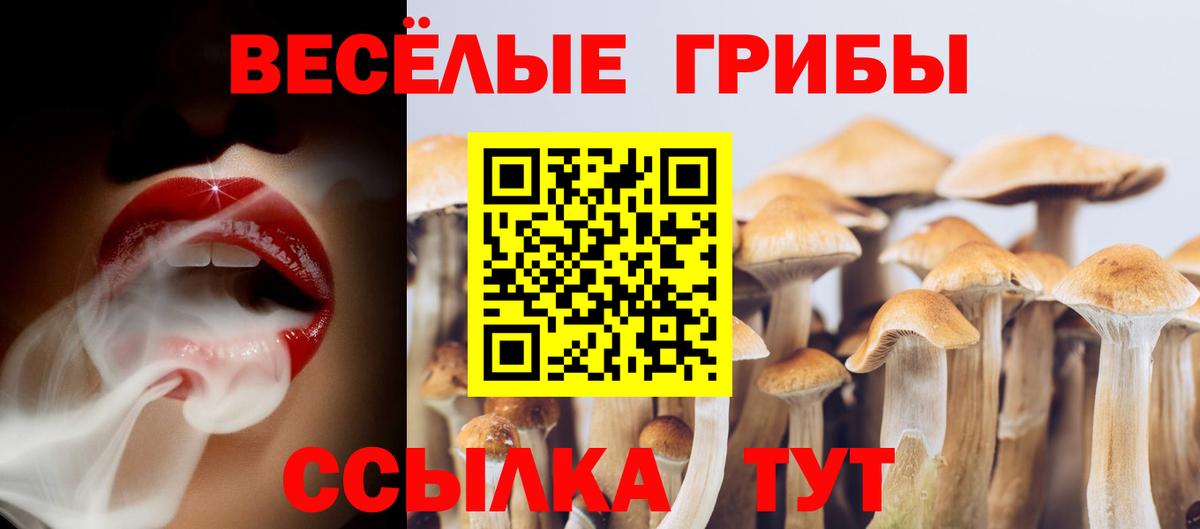 Галлюциногенные грибы ЛСД Кирово-Чепецк
